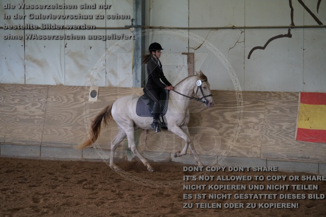s_K3F03904.JPG